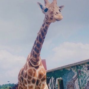 Meet your Posher, Jenny